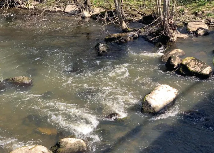 Le Relais De Poste Mortagne-sur-Sevre